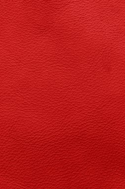 kırmızı deri