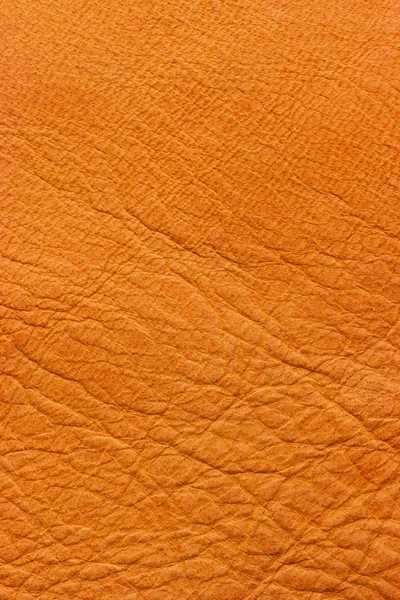 Cuir orange — Photo