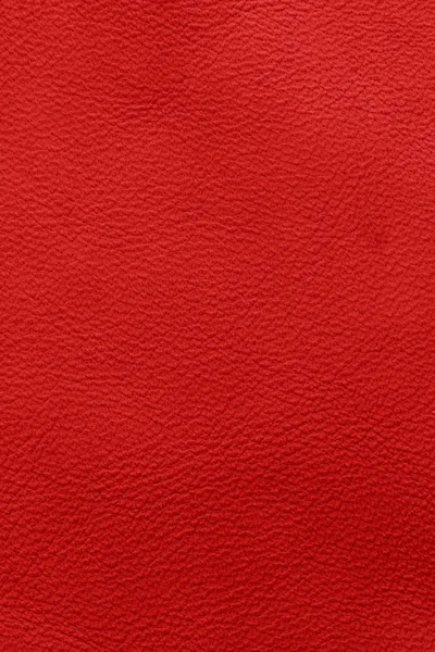 Red leather — Stock Photo, Image