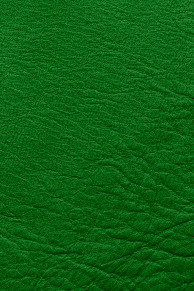 Grünes Leder — Stockfoto