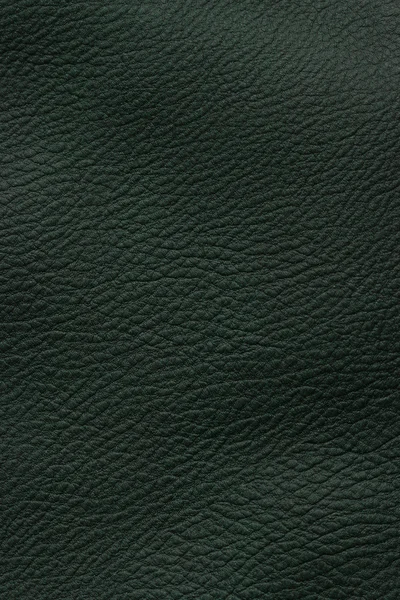Mörk grönt läder — Stockfoto