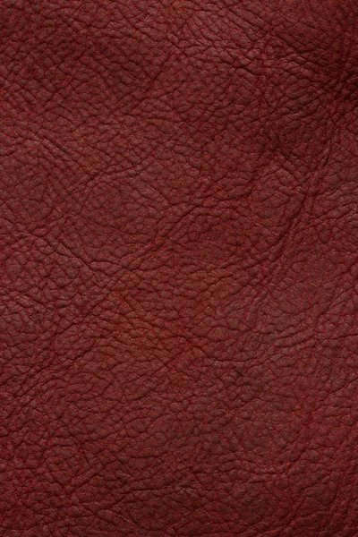 Red leather — Stock Photo, Image