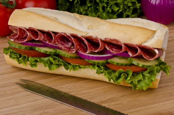 Ponorkového sendviče — Stock fotografie