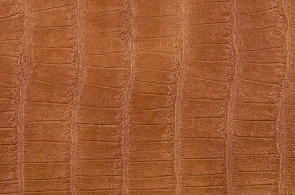 Hafif kahverengi deri dokusuna — Stok fotoğraf