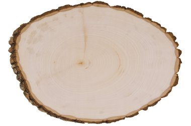 Cross section of tree trunk clipart