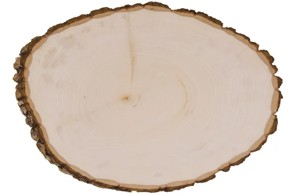 Secção transversal do tronco da árvore — Fotografia de Stock