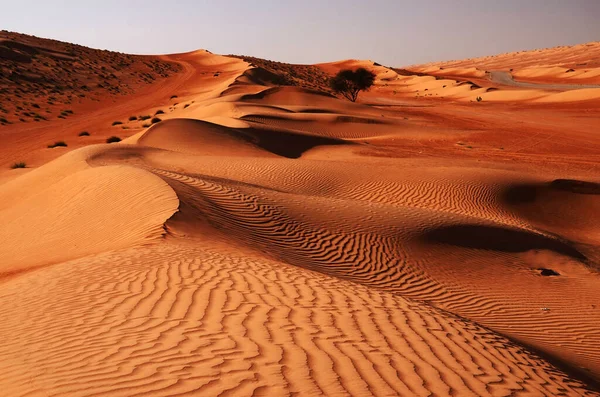 Sandy Desert Wahiba Oman Red Dunes East 스톡 사진
