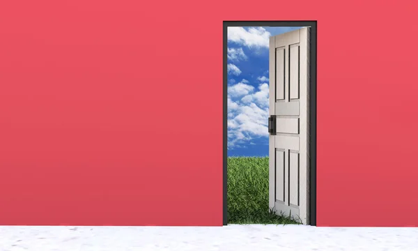 White door opened in grass to a nice sky background — Stock Photo, Image