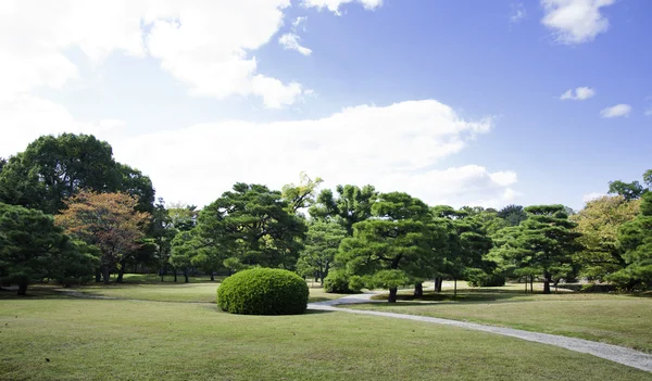 Linda paisagem de verão — Fotografia de Stock