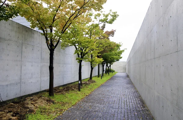 Chemin avec cerisiers en fleurs à osaka préfectoral sayamaike mu — Photo