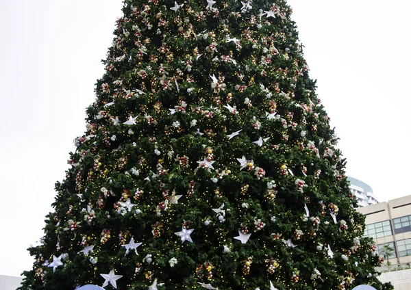 Christmas Tree and decorations — Stock Photo, Image