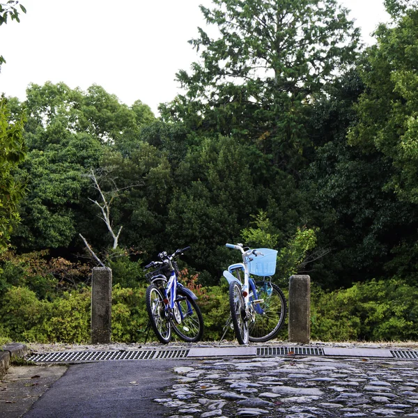 Biciclette di coppia — Foto Stock