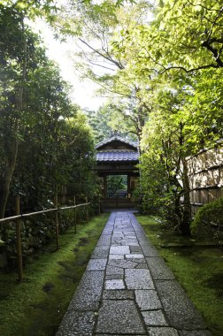 Koto (enstrüman) içinde bir alt tapınak daitoku-Ji - kyoto, Japonya