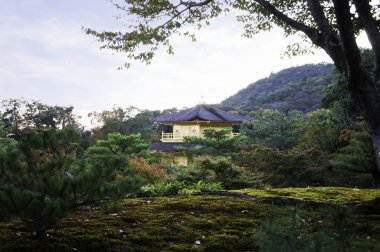 Kinkakuji, tapınağın altın Köşk, kyoto, Japonya