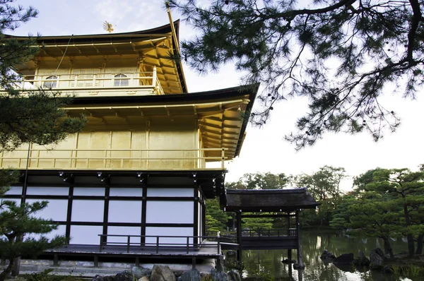Храм Kinkakuji, Золотистий павільйон, Кіото, Японія — стокове фото