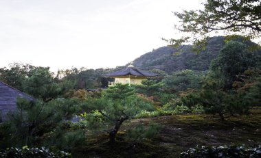 Kinkakuji Tapınağı, kyoto, Japonya