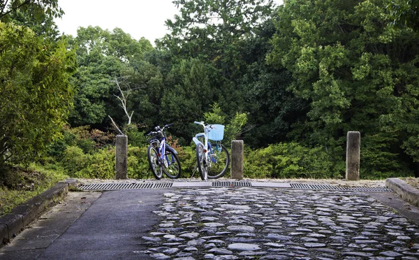 Велосипеды для пар в сельской местности — стоковое фото
