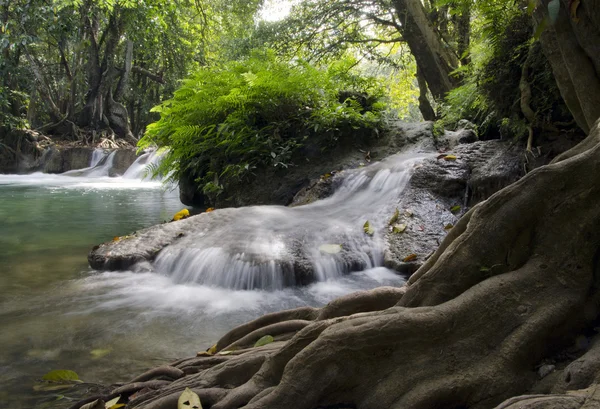 Floresta profunda Cachoeira, Saraburi, Tailândia — Fotografia de Stock