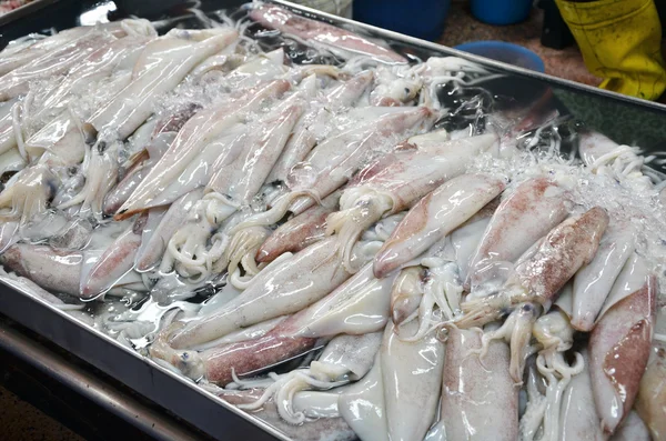 Calamares en el mercado fresco —  Fotos de Stock