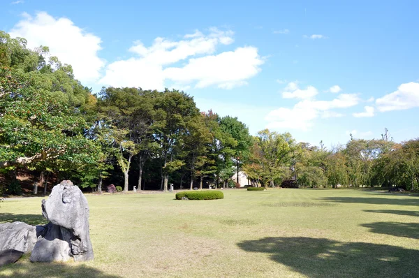 Beautiful summer japanese landscape — Stock Photo, Image