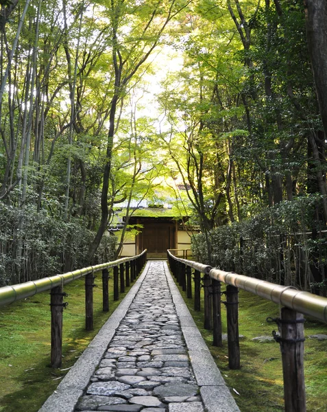 Koto (enstrüman) içinde bir alt tapınak daitoku-Ji - kyoto, Japonya — Stok fotoğraf