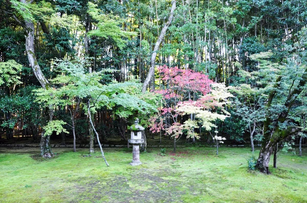 Japonská zahrada v chrámu, koto v sub-chrám daitoku-j — Stock fotografie