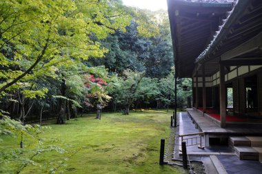 Japon bahçe koto içinde tapınak - kyoto, Japonya