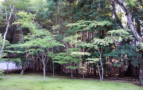 Japonská zahrada v chrámu — Stock fotografie