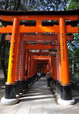 Fushimi Inari taisha tapınak Kyoto