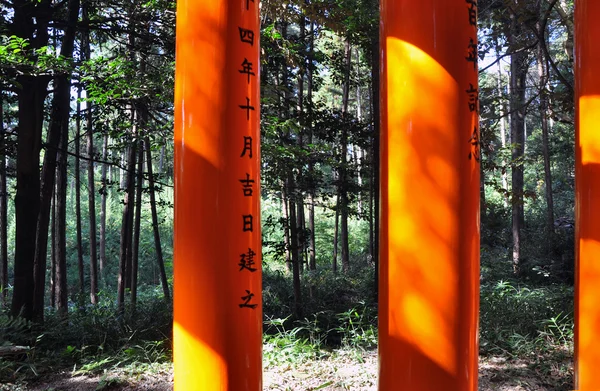 Kolumna torii bramy againts natura w fushimi inari shrine — Zdjęcie stockowe