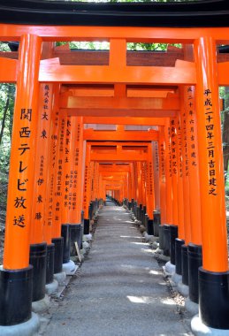 ünlü parlak turuncu torii fushimi Inari taisha Tapınak kapıları