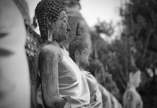 Antika buddha statyer på wat yai chai mongkol, ayutthaya, thail — Stockfoto