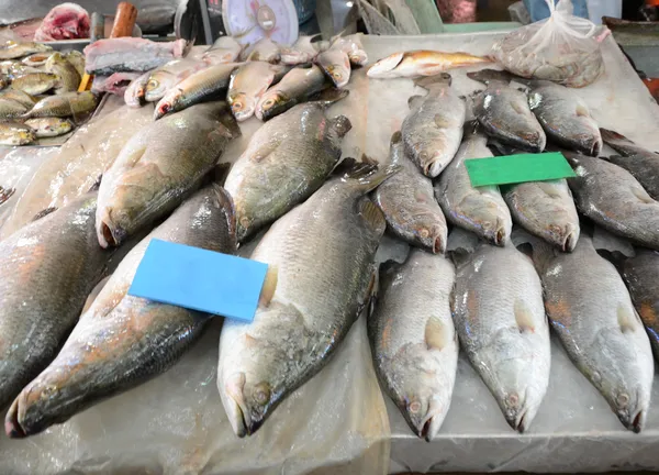 Frischer Fisch Meeresfrüchte auf dem Markt, Thailand — Stockfoto