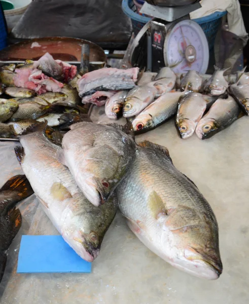 Vielfalt an frischem Fisch auf dem Markt — Stockfoto