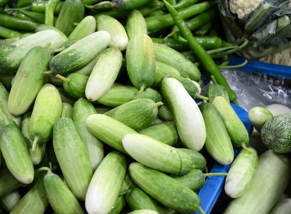 Pile of cucumber — Stock Photo, Image