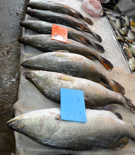 シーフード マーケットで新鮮な魚 — ストック写真