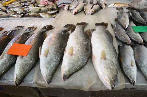 Variété de poissons et fruits de mer frais sur le marché — Photo