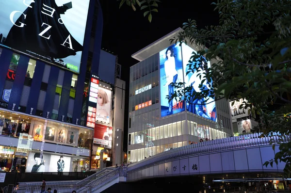 OSAKA, JAPÓN - 23 DE OCTUBRE: visita a la famosa calle Dotonbori — Foto de Stock