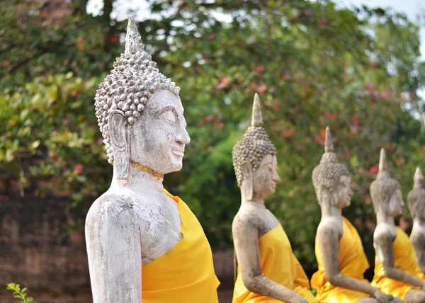 Estátuas antigas de Buda em Wat Yai Chai Mongkol, Ayutthaya, Thail — Fotografia de Stock