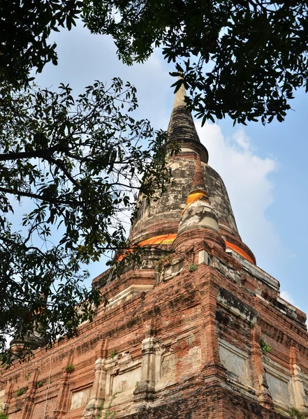 Gran pagoda en templo mongkol en la provincia de Ayutthaya, Tailandia — Foto de Stock