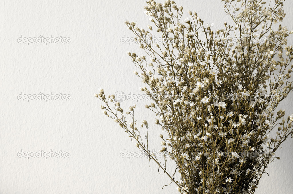 Dried bouquet of white flowers