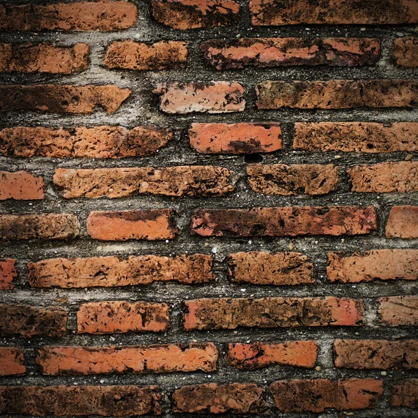 Textura de pared de ladrillo grunge —  Fotos de Stock