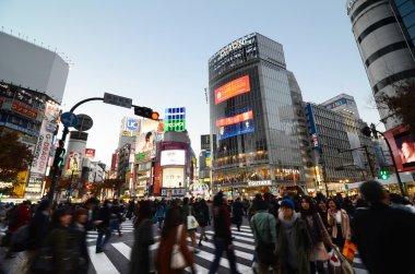 Tokyo - 28 Kasım: yayalar, shibuya bölgesi ünlü geçiş