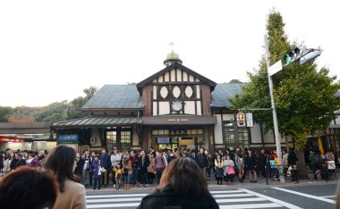 Tokyo - Kasım 24: insanlar ziyaret harajuku istasyonu, tokyo, Japonya