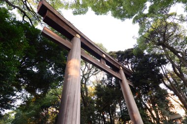Torii kapısı ayakta meiji jingu Tapınağı, tokyo girişinde
