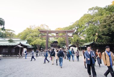 Harajuku, tokyo - 20 Kasım: meiji jingu tapınağı ziyaret