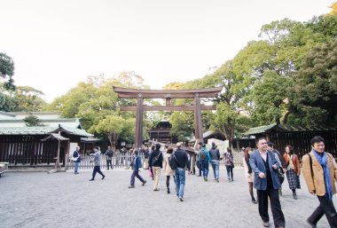 HARAJUKU,TOKYO - NOV 20: People visiting Meiji Jingu Shrine clipart