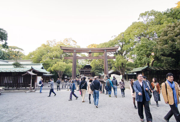 HARAJUKU,TOKYO - NOV 20: People visiting Meiji Jingu Shrine