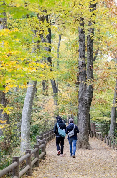 Couple dans la forêt d'automne colorée — Photo