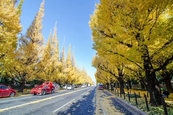 L'avenue Ginkgo Tree se dirige vers le Mémorial de Meiji Pictur — Photo
